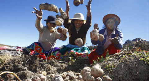 Día del Campesino 2025 en Perú: por qué se celebra hoy 24 de junio y cuál es su origen de esta festividad