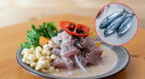 Día del Ceviche: descubre cómo el ceviche con pescado azul mejora la nutrición sin perder su esencia