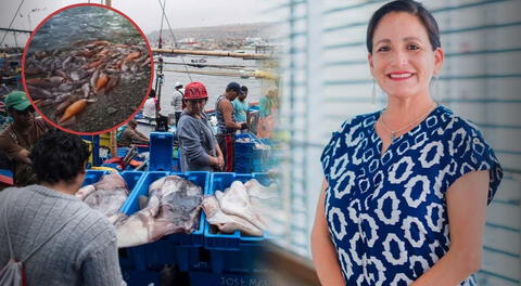 Especialista de la UNMSM revela la razón detrás de la masiva cantidad de pota en las playas de Lima: "Se están presentando eventos oceanográficos"