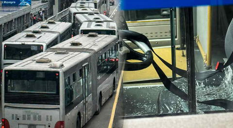Lanzan objeto a bus del Metropolitano en movimiento y ocasiona que más de 50 queden varados en la Vía Expresa