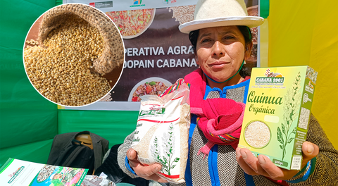 Disminuye producción de quinua en Puno por cambio climático: bajó más del 50%