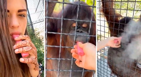 Deportista rusa genera indignación tras difundir video donde hace fumar a orangután en peligro de extinción