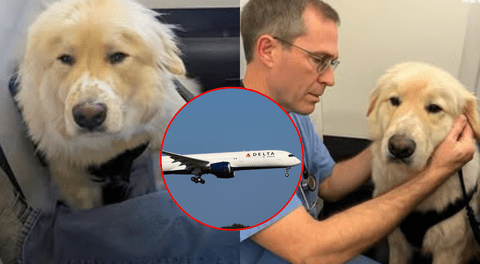 Piloto de aerolínea en EE. UU. desvió su vuelo con más de 180 pasajeros para salvar a un perrito y conmueve en redes: "Toda vida importa"