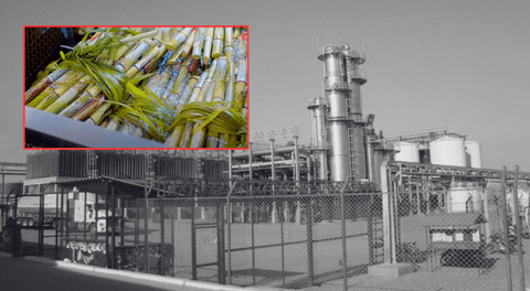 Etanol peruano busca unir agroindustria y minería para impulsar transición energética
