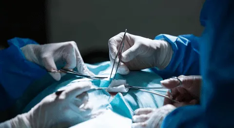 España permite por primera vez la donación de órganos entre personas con VIH gracias a nueva norma