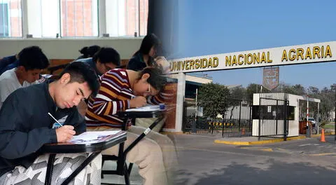 Resultados examen de admisión Universidad Agraria 2025-II: consulta lista de ingresantes a la UNALM