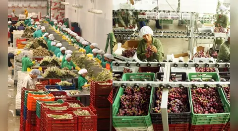 Agroexportaciones regionales rompen récord: suman US$3.248 millones y los orgánicos pisan fuerte