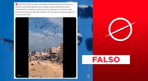 Israel no envió ayuda humanitaria a Gaza: fue lanzado por Jordania y EAU