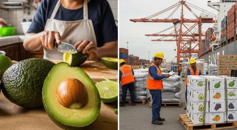 Perú conquista mercados internacionales gracias al 'oro verde' en 2025: exportaciones llegan a EE. UU. y Europa