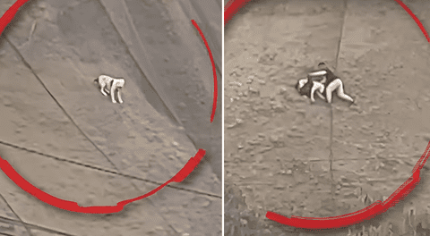 Hombre desafió el peligro y salvó a perrito que quedó atrapado en acantilado en San Miguel