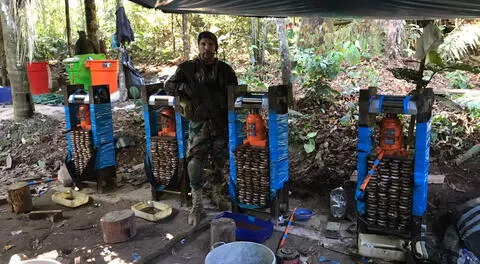 Vraem: Mafias del narcotráfico pierden S/ 381 millones por operaciones antidrogas