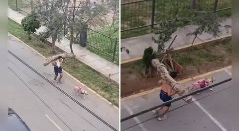 Hombre entrena cargando un tronco en su espalda mientras su perro lo jala y comentarios en TikTok estallan: “Está entrenando para semana santa”