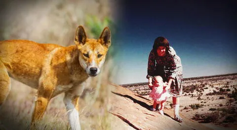 El trágico caso Chamberlain: bebé fue atacada por un animal salvaje, pero los padres fueron condenados por asesinato