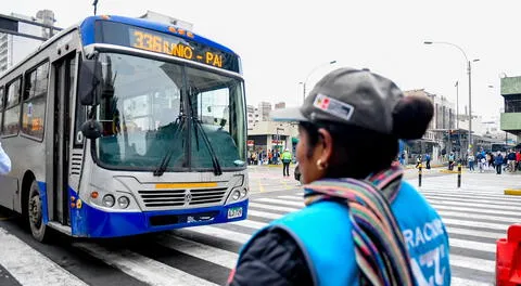 Corredor Azul: nueva ruta alimentadora llegará hasta la av. Faucett, en el límite de SMP con el Callao