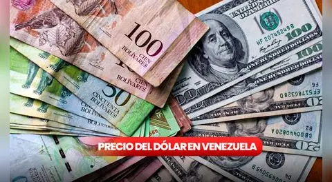 Precio del dólar paralelo en Venezuela hoy, 26 de agosto de 2025: consulta la tasa actual según Monitor Dólar