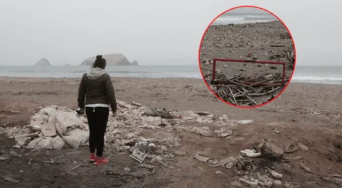 Estuario del Lurín: vidrios y desechos amenazan a aves migratorias