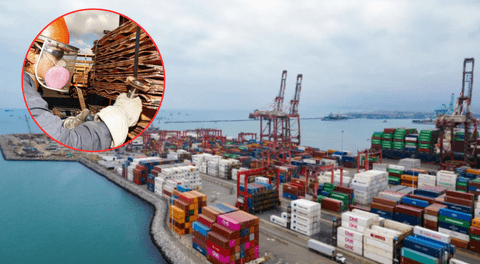 Exportaciones peruanas sumaron US$46.930 millones hasta julio 2025, con crecimiento de 17,1%