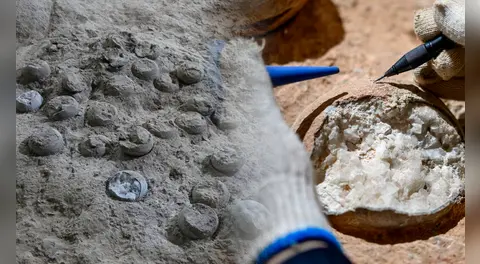 China descubre 28 huevos de dinosaurio de 86 millones de años que revelan una adaptación inédita al clima