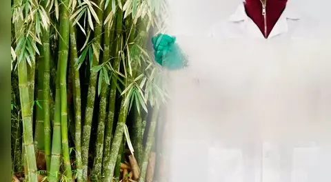 China quiere despedirse del plástico tradicional con una alternativa biodegradable y ultra resistente