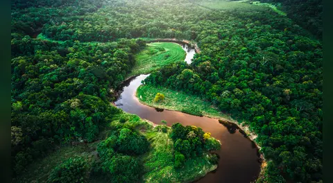 El país con más biodiversidad del mundo está en América Latina: descubre 700 especies nuevas al año