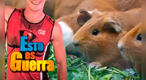 Exchico reality abandonó la TV para vender cuyes y asegura que ganará más dinero que en ‘Esto es Guerra’