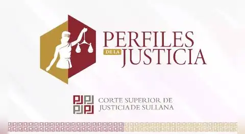 Política criminal, seguridad ciudadana y flagrancia delictiva