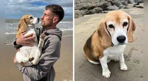 Aaron Ramsey, estrella de Pumas de México, vive calvario tras pérdida de su perrita: ofrece recompensa de 20.000 dólares