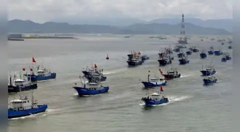 Advierten pesca ilegal de pota por flotas asiáticas y piden medidas urgentes de control