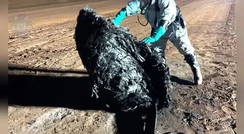 Una rara estructura cayó en el desierto de Australia y los científicos intentan saber su naturaleza y origen