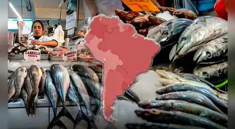 El país de América Latina que lidera la mayor producción de pescado del mundo junto a China e Indonesia: supera a EE.UU. en top 5