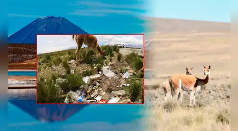 Autoridades alertan de gran contaminación en reserva protegida en Arequipa: "Hay llantas, bolsas y pañales"