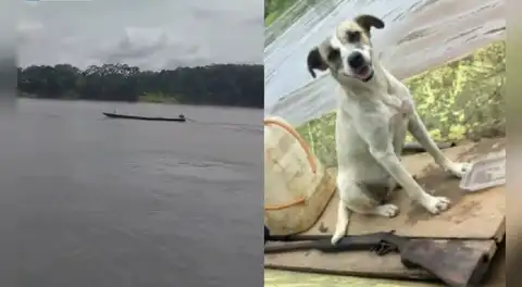 Adulto mayor lleva desaparecido 9 días en río Ucayali y solo encontraron a su perrita en embarcación