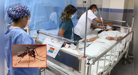 EsSalud alerta por síntomas graves del dengue: dolor abdominal y vómitos persistentes podrían indicar fase mortal