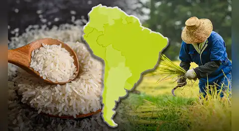 Este país de América Latina produce y consume tanto arroz como China en el mundo: superó más de 3 veces a Perú y Colombia