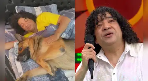 Carlos Vílchez no pudo contener las lágrimas al recordar la trágica muerte de su mascota: ''Fue una destrucción total''