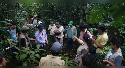 Más de 1 millón de hectáreas de bosque evitaron ser deforestadas gracias a certificación