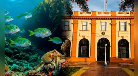 Congreso reaviva el REINFO Pesquero pese al rechazo unánime: qué plantea el proyecto y por qué genera preocupación