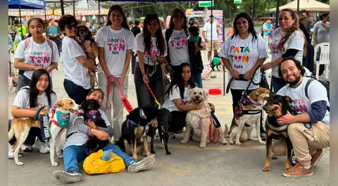 Adoptatón 2025: el festival que busca dar un nuevo comienzo a más de 100 animales rescatados