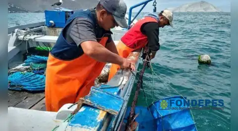 Gobierno aprueba nueva escala de ingresos para trabajadores de FONDEPES: estos son los nuevos montos