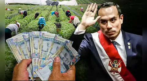 Gobierno propone un nuevo regalo para agroexportadoras que costaría S/2.000 millones al año y alentará la concentración de tierras