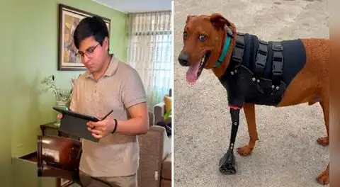 Joven ingeniero y talento de Beca 18 crea prótesis 3D para animales en situación vulnerable en el Perú