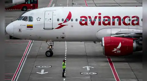 Avianca, aerolínea líder en países de América Latina, inmoviliza más de 70% de su flota por actualización en sus aviones A320