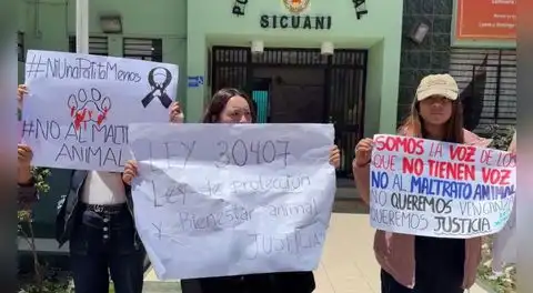 Cusco: piden sanción para hombre que fue grabado golpeando a perrita que murió