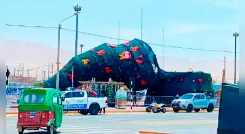 Moquegua: fuertes vientos derriban árbol navideño más alto de la región en Ilo