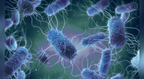 Aumentan las superbacterias resistentes a antibióticos: microbióloga advierte sobre la automedicación y mal uso de fármacos