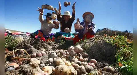 La cultura alimentaria indígena emerge como respuesta ante una inseguridad alimentaria que golpea a 17 millones de peruanos