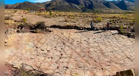 Paleontólogos descubren 18.000 huellas de dinosaurios y rastros de que nadaban en una antigua costa de Bolivia