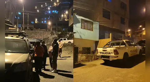 Bebé de 11 meses muere tras ser atacado por dos perros en San Juan de Lurigancho