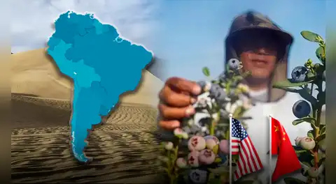 El desierto de América Latina que se terminó convirtiendo en proveedora principal de alimentos de EE.UU., China y Europa