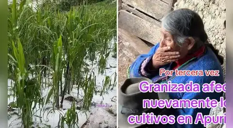 Adulta mayor rompe en llanto al ver cómo la granizada destruye su cultivo de maíz: "Así es la vida del agricultor"